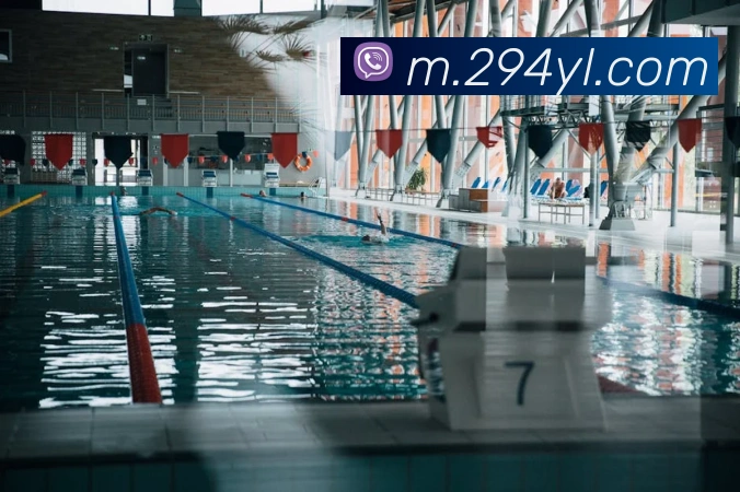 体育直播服务